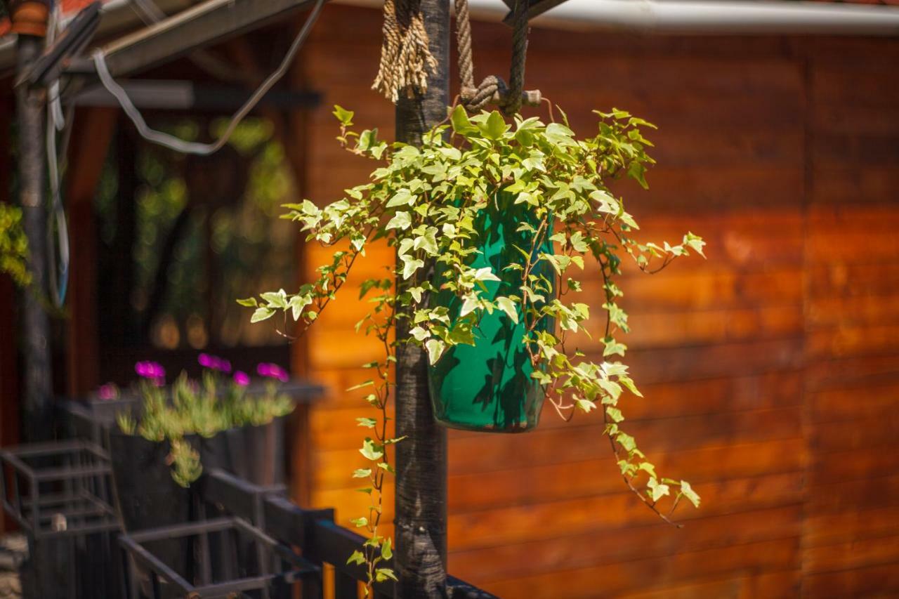 Hotel Almi Akhaltsikhe  Εξωτερικό φωτογραφία